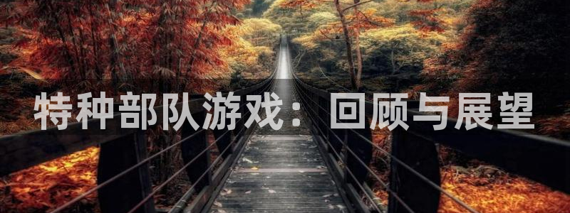 db电竞烟照片：特种部队游戏：回顾与展望