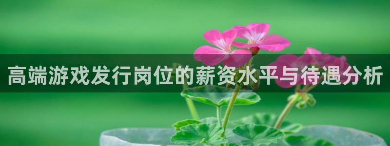 陕西省西安市db电竞子文化创意：高端游戏发行岗位的薪资水平与待遇分析