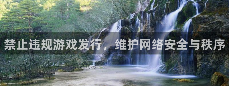 db电竞涂料怎么样：禁止违规游戏发行，维护网络安全与秩序