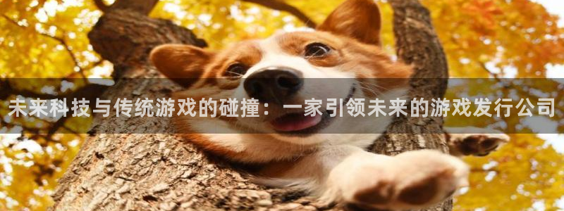 db电竞电子商务有限公司电话：未来科技与传统游戏的碰撞：一家引领未来的游戏发行公司