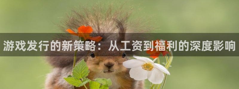 db电竞子集团：游戏发行的新策略：从工资到福利的深度影响