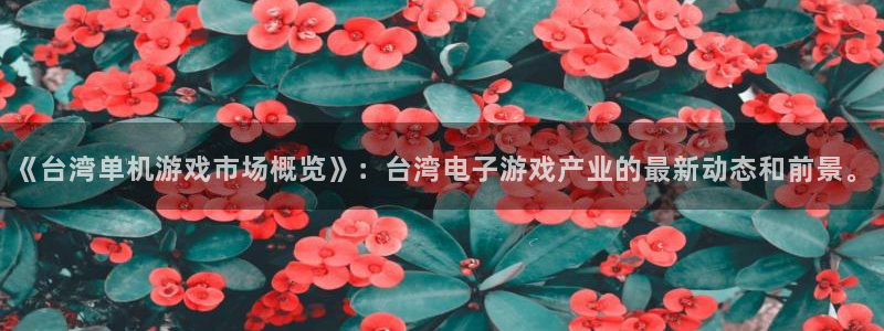db电竞工坊：《台湾单机游戏市场概览》：台湾电子游戏产业的最新动态和前景。