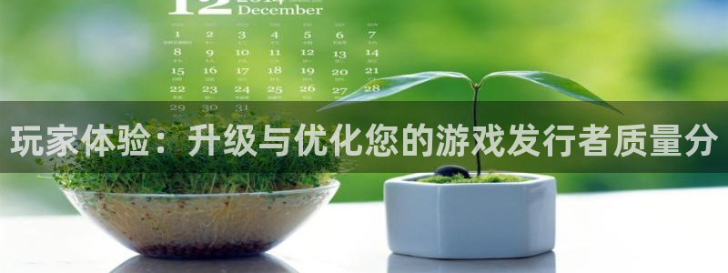 db电竞科技有限公司：玩家体验：升级与优化您的游戏发行者质量分