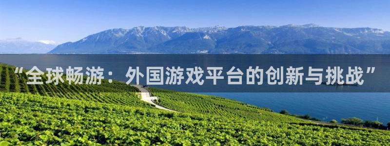 db电竞官网注册平台：“全球畅游：外国游戏平台的创新与挑战”