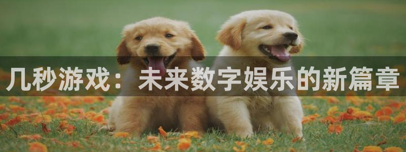 db电竞官网挂机项目怎么样：几秒游戏：未来数字娱乐的新篇章
