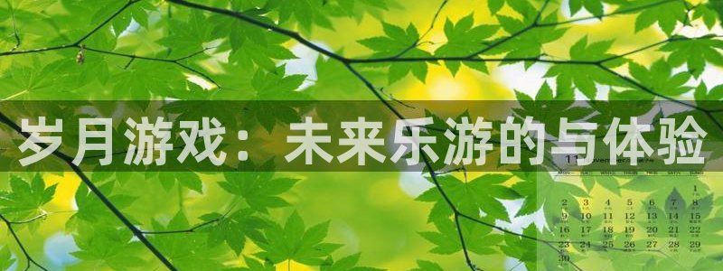 作者db电竞子小说：岁月游戏：未来乐游的与体验