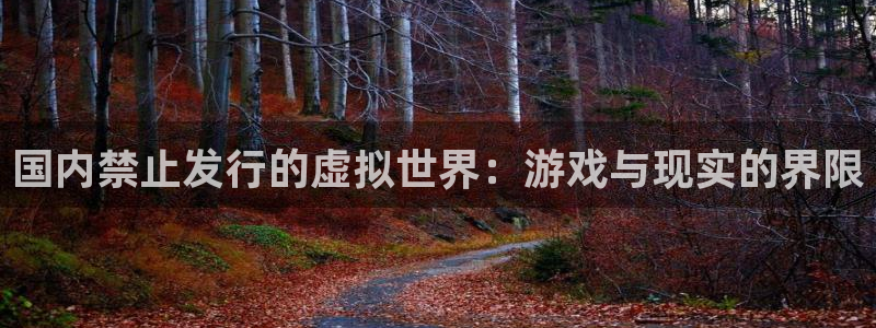 db电竞官网平台是骗局吗：国内禁止发行的虚拟世界：游戏与现实的界限