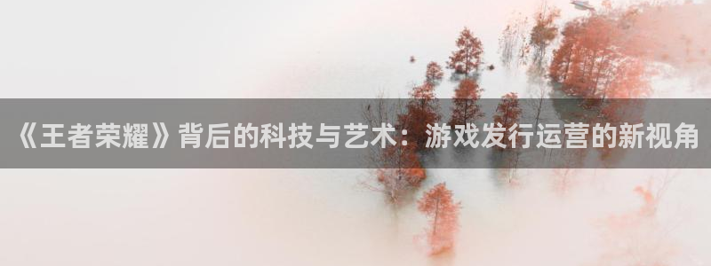 db电竞品牌：《王者荣耀》背后的科技与艺术：游戏发行运营的新视角
