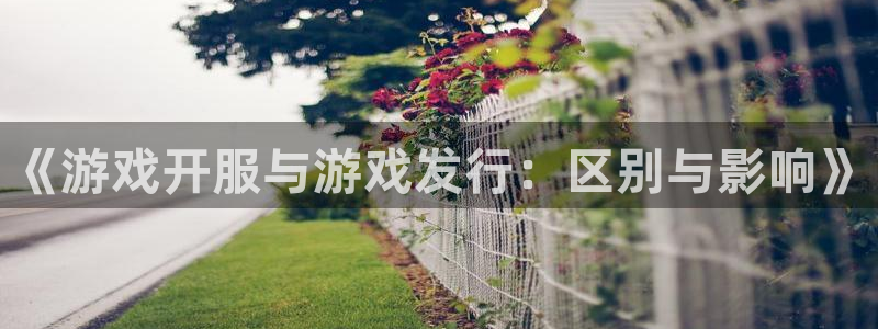 db电竞电子商务怎么样