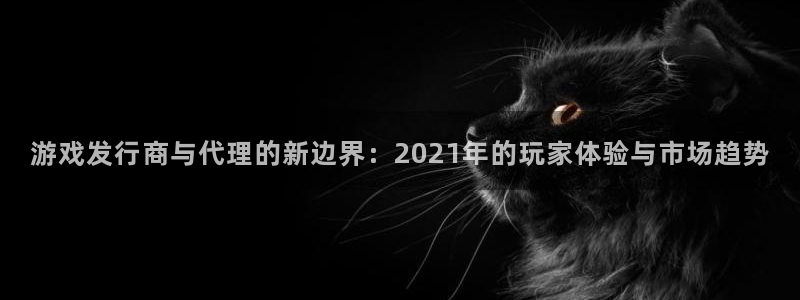 db电竞官网主管他494o3 主管：游戏发行商与代理的新边界：2021年的玩家体验与市场趋势