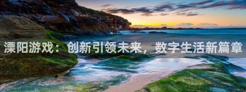 db电竞官网注册方法有哪些呢：溧阳游戏：创新引领未来，数字生活新篇章