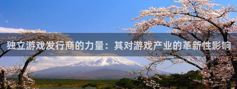 db电竞官网下载分分彩：独立游戏发行商的力量：其对游戏产业的革新性影响