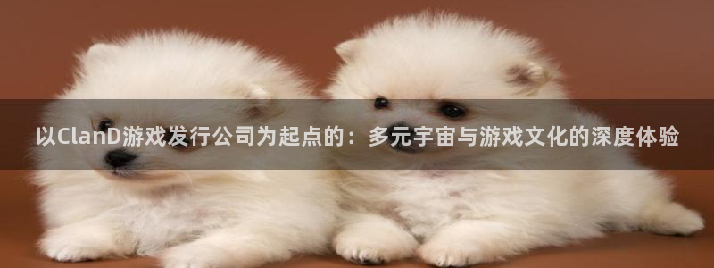 佛山db电竞