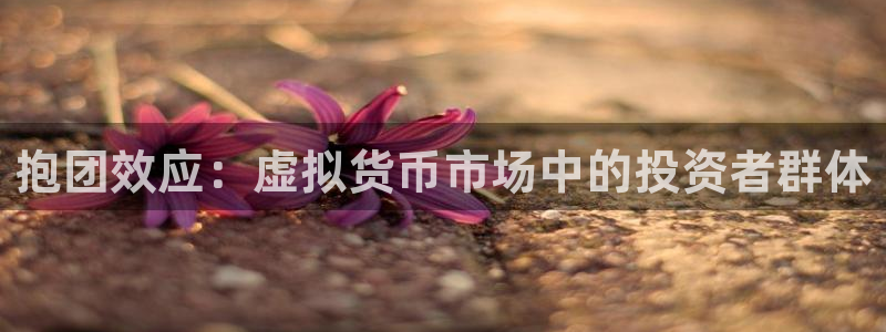 lvncesdb电竞衣服价格：抱团效应：虚拟货币市场中的投资者群体