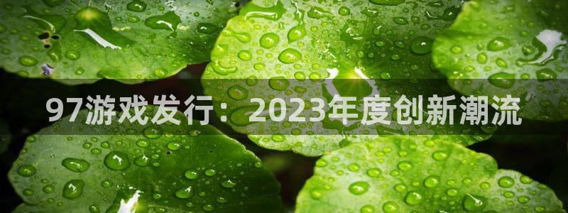 db电竞服装分店有几家：97游戏发行：2023年度创新潮流