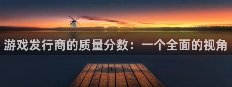 陕西db电竞子文化创意有限公司有什么游戏：游戏发行商的质量分数：一个全面的视角