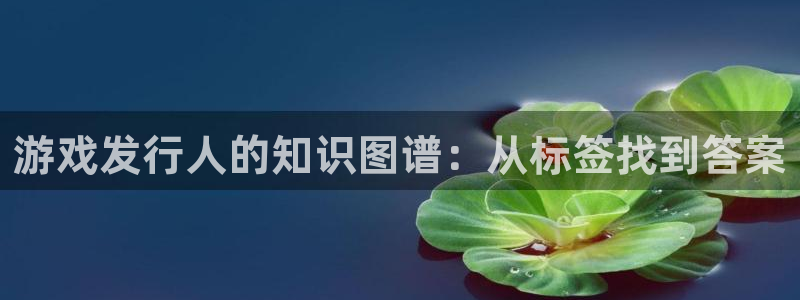 db电竞官网官网注册账号怎么注册