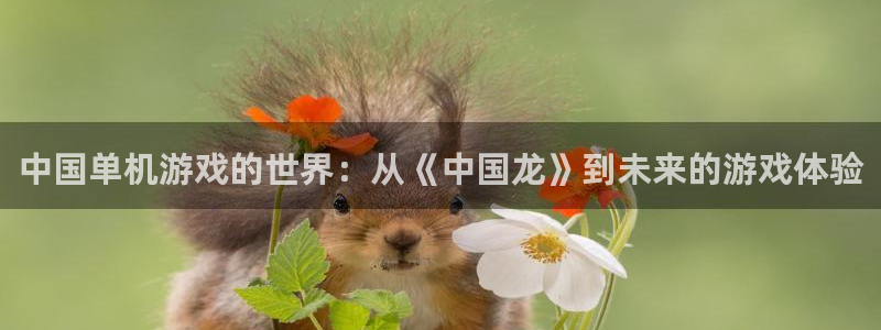 db电竞官网客服电话号码